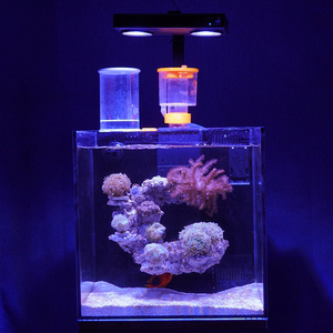 40背滤海水缸全套珊瑚缸原生玻璃海缸小型检疫鱼缸饲养珊瑚海水鱼