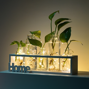 北欧试管花瓶插花水培植物透明玻璃餐桌上装饰创意组合小清新花器
