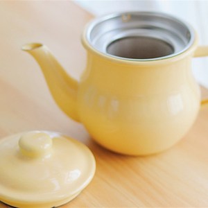 。老麦杂货铺 奶油系小清新复古搪瓷茶壶水壶凉水杯烧水壶油壶明