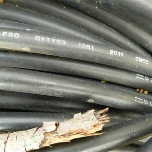 地埋直埋光缆线12芯富通品s牌光缆GYTY53-12B1通信光纤铁路矿用