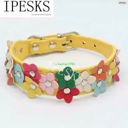 -Pu Do кожаный воротник солнце