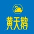 查看黄天鹅品牌详情