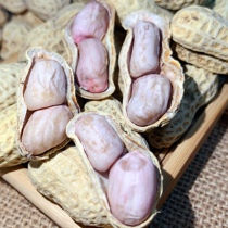 Five catties in 2021 Guangdong boiled peanuts original farmhouse salty salt water natural white dried peanut snacks