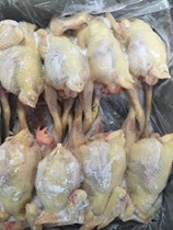 Fresh Frozen hen red laying hens chicken backyard in laying hens FCL 19 pounds in Jiangsu Zhejiang and Anhui province