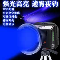 Night fishing headlights Blu-ray deity Fishing Special Wild Fishing Induction Lamp Hernia Lights Watch Adrift Super Light Charging