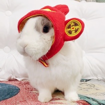 Full 58 | Wealth came bunny wealth headgear pet dogs and cats section Spring festive lucky dress up