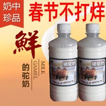 2kg camel milk Xinjiang Kazakh camel fresh milk camel milk pure milk Shunfeng air fresh pasture direct supply