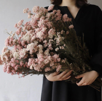 Long companion always natural dried flowers real flower flower arrangement bouquet millet flower home decoration decoration living room bedroom room