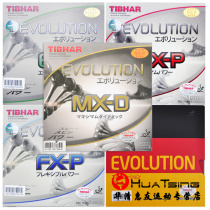 Tibhar tall and straight EL-P FX-P MX-P National team change energy soft table tennis rubber set rubber