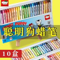 Smart dog crayon 16 colors 25 colors childrens kindergarten color crayon 12 colors Graffiti painting color chalk oil stick