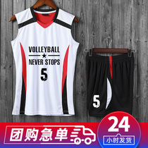 Group buy volleyball suit suit Mens and womens team uniform Quick-drying printed word air volleyball suit Sportswear custom match training suit