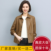 Haining Sheep Leather Small Leather Women's 2021 Spring and Autumn New Korean Casual Short Fashion Leather Jacket Small Coat