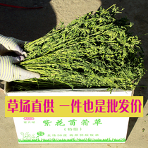 21-year alfalfa hay rabbit guinea pig guinea pig chinchilla rabbit grass super-grade pertunia gross weight 1kg