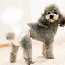 Single piece only needs 0 65 ~ puppy pants male dog diapers anti-disorderly urine teddy diaper bitch aunt towel