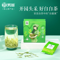 New product 2021 new tea Fangyu opened the garden head to pick Anji good white white tea official authentic alpine rare green tea