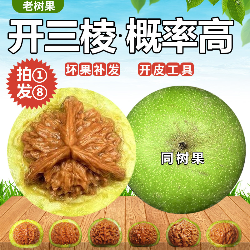 遊び胡桃【至高・三角】涿鹿産・三角南疆石 老樹 O1CN01H20lJdJQc7D1chua_!!