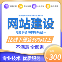 Website construction one-stop all-inclusive web page production and design company Enterprise website construction registration development customization