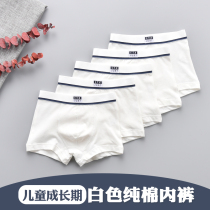 Class A non-card butt childrens underwear white cotton boys cotton shorts pure white student boxer briefs