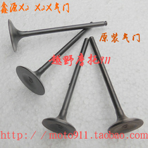 Xinyuan X2 off-road original valve X2X water-cooled engine parts intake valve exhaust valve assembly