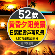 Beautiful sunset sunset sunset sunset Reed Sea evening natural scenery led HD background video material