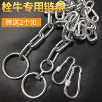 Galvanized chain iron chain bolt cow chain dog chain dog lotus seed thickening cow chain hanging sandbag chain 6mm8mm 8mm