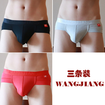  GICK Modal mens underwear mens briefs pure cotton sexy thin trendy breathable low waist personality pants