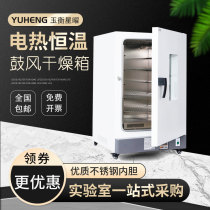 Yuheng DHG electric blast drying oven laboratory oven baking melting wax sterilization medical drying box stainless steel