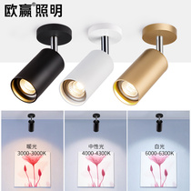 Surface mounted spot light led ceiling ceiling light Nordic living room household background wall 7w12w tile trackless spot light single