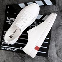 Hong Kong Chao brand 2021 new leather White shoes Korean version of Joker Breathable flat casual shoes low-top leather shoes board shoes