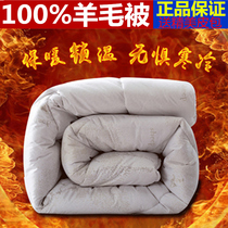 Wool quilt 100% pure wool winter quilt thickened 8kg 10kg cotton camel hair quilt single double spring cashmere quilt