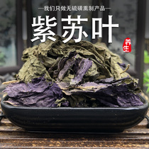 Perilla leaves 250 grams of burnt fish shrimp and crab to dry Hebei fresh edible Chinese herbal medicine tea soaking fishy feet free grinding powder