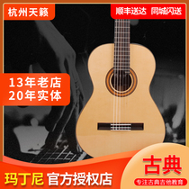 118C Hangzhou Teana piano line professional Martini full single classical guitar peach blossom core dorsal rosewood fingerboard
