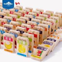 Domino childrens beneficial intelligence toy baby pinyin number Chinese character recognition character wooden Primary School student organ