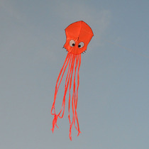 Shenyang kite shop plane octopus skeleton octopus kite triangle kite factory