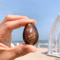 Natural shell small conch snowflake snail micro landscape decoration handicraft class material platform wishing bottle specimen snail collection