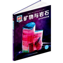 Whats What-Collectors Edition: Minerals and Rocks