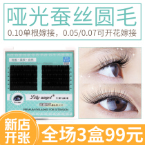 Lily Angel Beauty Mascara Graft Eyelash Single Root Emulation Natural Round Hair Planting Eyelash 0 05 05 07 0 0 1