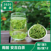 Anji white tea 2021 new tea spring tea rare white tea authentic rain before rain Alpine Green Tea 250g bulk