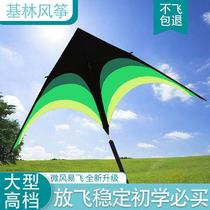 2021 new professional grade kite high-end high-end new large-scale adult Special super high-grade