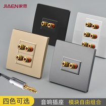 Jiaen 86 a two-digit speaker audio socket panel banana head terminal sound cable audio panel