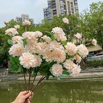 Peony Emulation Flower Fake Flower Indoor Living Room Decoration Flower Pendulum table Flower Decoration Anti-Real Rose Dry Flower Bouquet