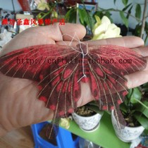   :Miniature butterfly kite Mini kite Breeze kite gift kite with line special sale