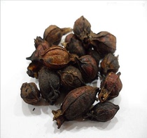 Chinese herbal medicine fried Gardenia Gardenia carbon coke mountain Gardenia Gardenia Gardenia carbon non Beijing Tongrentang 500g