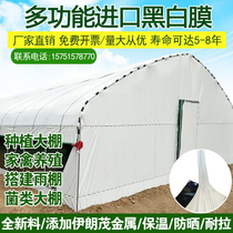 Imported thickened anti-aging black and white film breeding greenhouses chicken and duck plastic film sunscreen heat insulation reflective film heat preservation mushroom