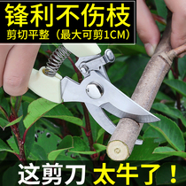 Stainless steel garden scissors Strong garden gardening pruning scissors Household labor-saving repair flower construction branch flower scissors