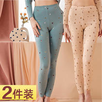 2021 new autumn pants women cotton pants pants warm pants pants single thin cotton bottoming wear winter