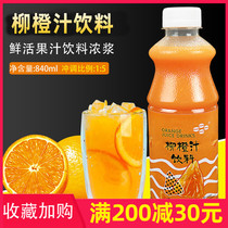 Milk tea raw material fresh beverage thick orange juice containing pulp 840ml fresh green juice 5 times orange concentrate juice