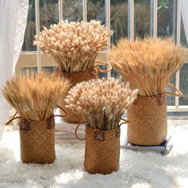Natural straw flower basket vase wheat ear reed rice decoration ornaments pastoral storage basket retro dried flower set