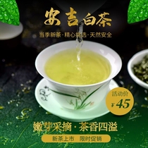  Anji white tea fragrant 2021 new tea bulk alpine green tea tea farmers direct premium tea