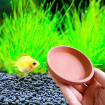 Jinbozi breeding plate Avatar spawning small fish spawning Short snapper breeding breeding hatching plate Earth pottery plate Purified water
